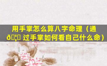 用手掌怎么算八字命理（通 🦟 过手掌如何看自己什么命）
